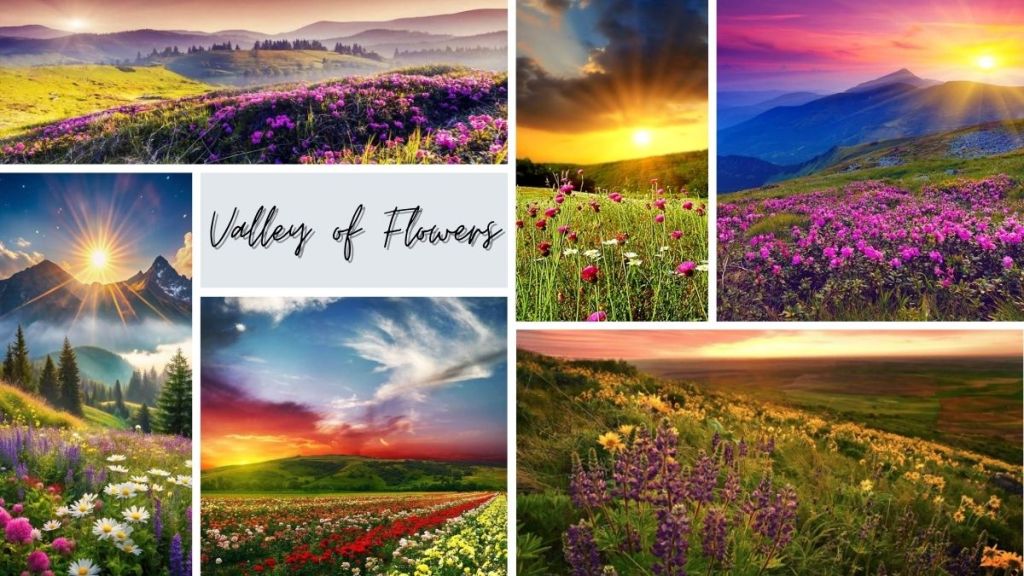 Valley of Flowers 2025 Season – Open to Tourists from June&nbsp;1